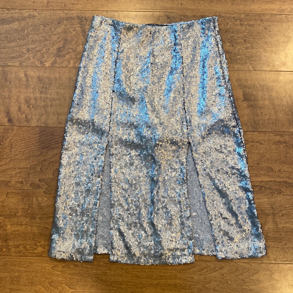 Sequin Skirt